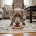 Potato Chip Nylon Chew & Enrichment Toy | 2-in-1 for Aggressive Chewers | SodaPup