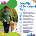 eStick Hand-Held Dog Enrichment Target Training Toy - Interactive Lick Stick | USA Made