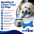 PUP-X Rubber Bone Dog Toy - Durable, Floats, Chew Toy for Large Dogs | USA