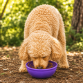 Garden of Eatin' Tipsy Bowl - Wobble Lick Mat for Dogs & Cats | USA Made