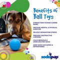 Squeak Ball - Durable Squeaky Dog Toy, Floats, Chew Toy | USA Made