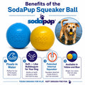 Squeak Ball - Durable Squeaky Dog Toy, Floats, Chew Toy | USA Made