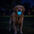 Strobe Ball Light-Up Dog Toy - Durable Floating Chew Ball | Made in USA