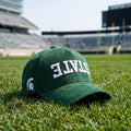 Michigan State Suede Hat