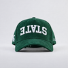 Michigan State Suede Hat