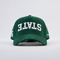 Michigan State Suede Hat