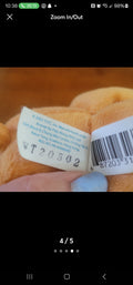Vintage 2002 Collector's Edition Tenderheart Care Bear Plush Mini