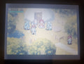 Shining Soul GBA Video Game Cartridge Nintendo Game Boy Advance 2002