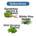 SpikesAway Bundle