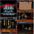 Splatterhouse 3 Sega Genesis Mega Drive Video Game Cartridge 1993