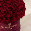 Supreme Bordeaux Suede Superdome Box | Burgundy Roses