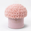 Supreme Light Pink Suede Superdome Box | Light Pink Roses