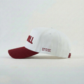 Troy Trojans Hat