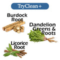 TryClean Plus Bundle