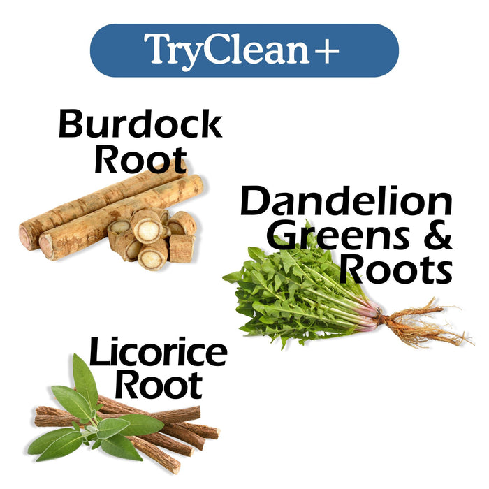 TryClean Plus Bundle