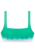 Ralph Lauren Womens Ombré Bikini Top, Size 6