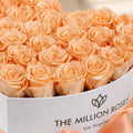 Heart White Box | Peach Roses