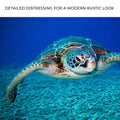 Green Sea Turtle Canvas Wall Art