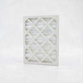 Brighton Professional Pleated Air Filter, 3/Pack