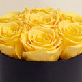 Essence Black Box | Yellow Roses