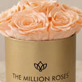 Essence Gold Box | Peach Roses
