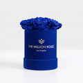 Essence Royal Blue Suede Box | Royal Blue Roses