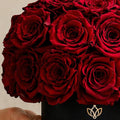 Essence Black Superdome Box | Red Roses