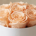 Essence White Box | Peach Roses