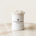 Essence White Box | White Roses