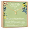 Capricorn Zodiac Gift Necklace