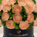 Classic Black Box | Peach Persian Buttercups & Green Hydrangeas