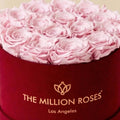 Classic Bordeaux Suede Box | Light Pink Roses
