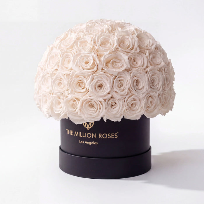 Classic Black Superdome Box | White Roses