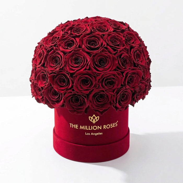Classic Bordeaux Suede Superdome Box | Burgundy Roses