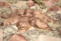 DaDa Bedding Country Rustic Camo Earthy Floral Sandy Beige Green Comforter Set (BM6118L-1)