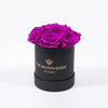 Essence Black Box | Bright Purple Roses