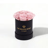 Essence Black Box | Light Pink Roses
