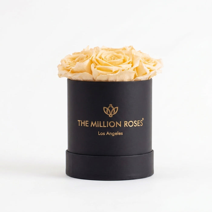 Essence Black Box | Ivory Roses
