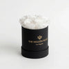 Essence Black Box | White Roses