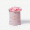 Essence Light Pink Suede Box | Light Pink Roses