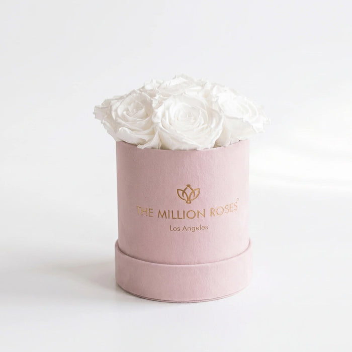 Essence Light Pink Suede Box | White Roses