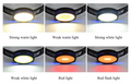 Floodlight Headlight
