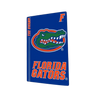Florida Gators PS5 VarsityWrapz