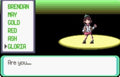 Pokemon Quetzal GBA ROM Hack Video Game Custom Gameboy Advance