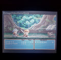 Tales of Phantasia GBA Video Game Cartridge Game Boy Advance 2006