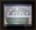 Pokemon Mystery Dungeon Red Rescue GBA ROM Hack Video Game Boy Advance