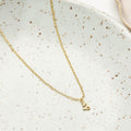 January 14th Capricorn Necklace