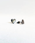 Anthurium Clarinervium Plant Studs | Hypoallergenic