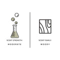 Palo Santo Reed Diffuser
