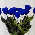 Long Stem Roses | Royal Blue Roses